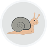 Snail