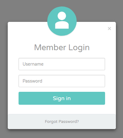 Elegant Modal Login Form with Avatar Icon